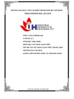 IUH - TIỂU LUẬN KỸ NĂNG GiAO TIẾP - KỸ NĂNG GIAO TIẾP TRONG MÔI TRƯỜNG ĐA VĂN HOÁ