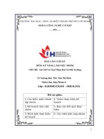 IUH - BÁO CÁO CUỐI KỲ KỸ NĂNG LÀM VIỆC NHÓM - Tái Chế Vỏ Chai Nhựa Bảo Vệ Môi Trường