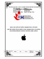 IUH - BÁO CÁO GIỮA KỲ MÔN MARKETING CĂN BẢN - PHÂN TÍCH CHIẾN LƯỢC MARKETING CỦA DÒNG SẢN PHẨM IPHONE THUỘC THƯƠNG HIỆU APPLE