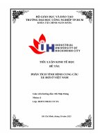 IUH - TIỂU LUẬN KINH TẾ HỌC - PHÂN TÍCH TÌNH HÌNH CUNG CẦU XE HƠI Ở VIỆT NAM