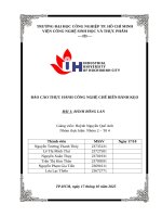 IUH - BÁO CÁO THỰC HÀNH CÔNG NGHỆ CHẾ BIẾN BÁNH KẸO - BÁNH BÔNG LAN