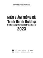 Niên giám thống kê tỉnh Bình Dương 2023