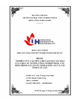 IUH - BÁO CÁO CUỐI KÌ KỸ NĂNG CHUYÊN NGHIỆP DÀNH CHO KỸ SƯ - NGHIÊN CỨU, CẢI TIẾN, CHẾ TẠO MÁY SẤY HẠT LÚA CHO CÁC XƯỞNG CÔNG NGHIỆP HOẶC CÁC XÓM TRỒNG LÚA Ở TÂY NINH (LONG AN) VÀ CÁC TỈNH LÂN CẬN