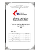 IUH - BÁO CÁO THỰC HÀNH PHỤ GIA THỰC PHẨM - PHỤ GIA CHỐNG OXY HÓA