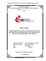 Nghiên cứu, cải tiến và chế tạo máy cho cá ăn tự động chạy bằng năng lượng mặt trời cho người dân nuôi thủy sản ở Xã Quang Thiện, tỉnh Ninh Bình