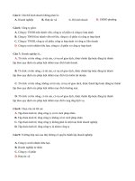 Câu hỏi ôn tập - Luật kinh doanh