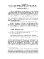 CẨM NANG CÁC QUY ĐỊNH MỚI CỦA PHÁP LUẬT VỀ TỐ TỤNG DÂN SỰ, KINH DOANH THƯƠNG MẠI, PHÁ SẢN, HÒA GIẢI ĐỐI THOẠI TẠI TÒA ÁN