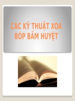 Bài giảng - CÁC KỸ THUẬT XOA BÓP BẤM HUYỆT