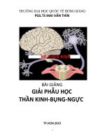 HIU - BÀI GIẢNG GIẢI PHẪU HỌC THẦN KINH-BỤNG-NGỰC - PGS.TS MAI VĂN THÌN