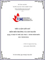 IUH - TIỂU LUẬN GIỮA KỲ MÔI TRƯỜNG VÀ CON NGƯỜI - VẺ ĐẸP TỪ PHẾ LIỆU NHỰA – HÀNH TRÌNH BIẾN RÁC THÀNH HOA