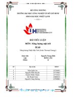 IUH - BÀI TIỂU LUẬN Năng lượng mặt trời - Năng lượng Nhiệt Mặt Trời (Solar Thermal Energy)