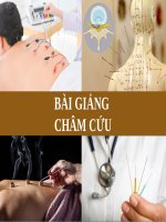 Bài Giảng - Châm Cứu ( combo full slides )