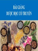 Bài Giảng -  Dược Học Cổ Truyền ( combo full slides 6 chương )