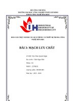 IUH - BÁO CÁO THỰC HÀNH QUÁ TRÌNH VÀ THIẾT BỊ TRONG CÔNG NGHỆ HÓA CHẤT THỰC PHẨM VÀ MÔI TRƯỜNG - MẠCH LƯU CHẤT