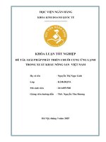 Khóa luận tốt nghiệp Kinh doanh quốc tế: Giải pháp phát triển chuỗi cung ứng lạnh trong xuất khẩu nông sản - Kinh nghiệm quốc tế và bài học cho Việt Nam