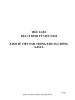 TIỂU LUẬN  - ĐỊA LÝ KINH TẾ VIỆT NAM - ĐỀ TÀI - KINH TẾ VIỆT NAM TRONG KHU VỰC ĐÔNG NAM Á 
