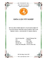 Khóa luận tốt nghiệp Ngân hàng: Phát triển dịch vụ ngân hàng điện tử tại Ngân hàng Thương mại cổ phần Việt Nam Thịnh Vượng - Chi nhánh Vũ Trọng Phụng