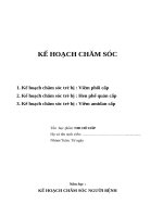 Kế hoạch chăm sóc trẻ ( viêm phổi cấp, hen phế quản , viêm amidan cấp)