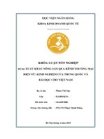 Khóa luận tốt nghiệp Kinh doanh quốc tế: Xuất khẩu nông sản qua kênh thương mại điện tử: Kinh nghiệm của Trung Quốc và bài học cho Việt Nam