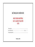 Kê hoạch chăm sóc / Người cao tuổi (  Đái tháo Đường,  Suy giáp Ở người già )