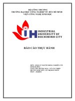 IUH - BÁO CÁO THỰC HÀNH SINH LÝ NGƯỜI TRONG NGHIÊN CỨU DINH DƯỠNG - TIÊU HÓA VÀ HẤP THU PROTEIN