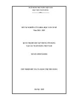 Đề tài nghiên cứu khoa học cấp Cơ sở: Quản trị rủi ro tập trung tín dụng tại các Ngân hàng Việt Nam