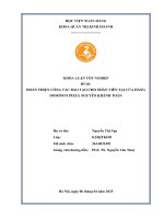 Khóa luận tốt nghiệp Quản trị kinh doanh: Hoàn thiện công tác đào tạo nhân viên tại cửa hàng Domino’s Pizza Nguyễn Khánh Toàn