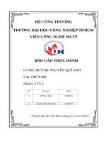 IUH - BÁO CÁO THỰC HÀNH - PHỤ GIA CHỐNG OXI HÓA
