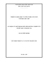 Đề tài nghiên cứu khoa học cấp Cơ sở: Tác động của đô thị hóa đến môi trường: Nghiên cứu với dữ liệu cấp quốc gia