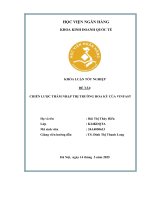Khóa luận tốt nghiệp Kinh doanh quốc tế: Chiến lược thâm nhập thị trường Hoa Kỳ của VinFas