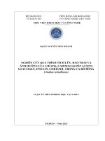Nghiên cứu quá trình tích lũy, Đào thải và Ảnh hưởng của chì (pb), cadimi (cd) Đến lượng glycogen, insulin, cortisol trong cá rô Đồng (anabas testudineus)