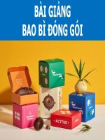 Bài Giảng - Bao Bì Đóng Gói ( combo full slides 8 chương )