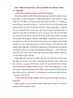 Phan 1   cau 2   phân tích quá trình ra Đời và Đặc Điểm của triết học Ấn Độ cổ   trung Đại