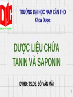 Dược liệu chứa Saponin và Tanin