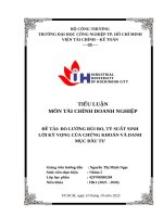 IUH - TIỂU LUẬN TÀI CHÍNH DOANH NGHIỆP - ĐO LƯỜNG RỦI RO, TỶ SUẤT SINH LỜI KỲ VỌNG CỦA CHỨNG KHOÁN VÀ DANH MỤC ĐẦU TƯ