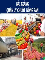 BÀI GIẢNG - QUẢN LÝ CHUỖI  NÔNG SẢN ( combo full slides 2 chương )