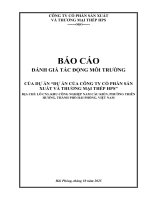 Báo cáo dtm dự Án của công ty cổ phần sản xuất và thương mại thép hps