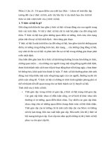 Phan 2   cau 21  từ quan Điểm của triết học mác – lênin về tính Độc lập tương Đối của Ý thức xã hội