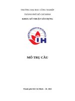 IUH - BÀI TẬP LỚN MÔN HỌC - MỐ TRỤ CẦU - KHOA  KỸ THUẬT XÂY DỰNG