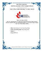 IUH - BÁO CÁO THỰC HÀNH Dinh Dưỡng Và An Toàn Thực Phẩm - ẢNH HƯỞNG CỦA PHƯƠNG PHÁP BẢO QUẢN THỰC PHẨM TRUYỀN THỐNG ĐẾN GIÁ TRỊ DINH DƯỠNG VÀ AN TOÀN THỰC PHẨM TẠI CÁC VÙNG NÔNG THÔN.