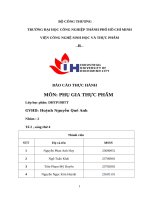 IUH - BÁO CÁO THỰC HÀNH PHỤ GIA THỰC PHẨM - PHỤ GIA TẠO NHŨ