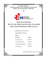 IUH - Tiểu luận HÓA SINH HỌC - CHU TRÌNH CHUYỂN HÓA CỦA BA HỢP CHẤT CĂN BẢN PROTEIN, LIPID, GLUCID