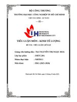 IUH - TIỂU LUẬN KINH TẾ LƯỢNG - ĐỀ TÀI : TIỂU LUẬN GIỮA KÌ