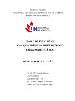 IUH - BÁO CÁO THỰC HÀNH CÁC QUÁ TRÌNH VÀ THIẾT BỊ TRONG CÔNG NGHỆ HOÁ HỌC - MẠCH LƯU CHẤT
