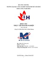 IUH - BÁO CÁO THỰC TẬP DOANH NGHIỆP - Công Ty Cổ Phần Phát Triển Cơ Điện Mekong