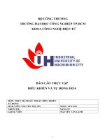 IUH - BÁO CÁO THỰC TẬP - ĐIỀU KHIỂN VÀ TỰ ĐỘNG HÓA