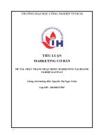 IUH - TIỂU LUẬN MARKETING CƠ BẢN - THỰC TRẠNG HOẠT ĐỘNG MARKETING TẠI DOANH NGHIỆP KATINAT