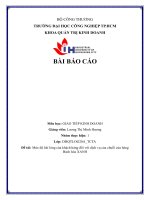 IUH - BÀI BÁO CÁO GIAO TIẾP KINH DOANH - Mức độ hài lòng của khách hàng đối với dịch vụ của chuỗi cửa hàng Bách hóa XANH