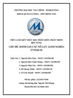 Chủ Đề Đánh giá các nỗ lực giảm nghèo Ở tp hcm