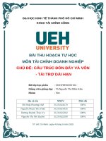 Bài thu hoạch tự học môn tài chính doanh nghiệp chủ Đề cấu trúc Đòn bẩy và vốn  tài trợ dài hạn